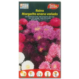 SEMILLAS FINSTOC FITO FLORES REINA MARGARITA ENANA VARIADA 00656 (CAJA 10 UNIDADES)