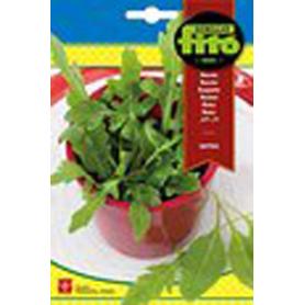 SEMILLAS FITO HORTICOLAS RUCULA SATIVA 8073 (CAJA 10 UNIDADES)