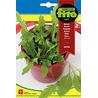 SEMILLAS FITO HORTICOLAS RUCULA SATIVA 8073 (CAJA 10 UNIDADES)