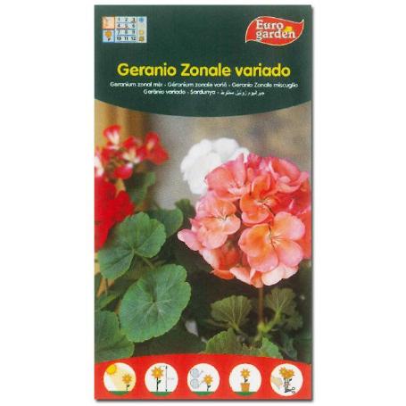 SEMILLAS FITO FLORES GERANIO ZONALE VARIADO 00619 (CAJA 10 UNIDADES)