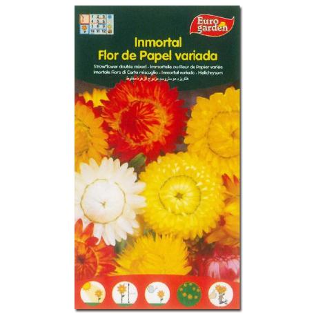 SEMILLAS FITO FLORES INMORTAL FLOR DE PAPEL (SIEMPREVIVA) 00569 (CAJA 10 UNIDADES)