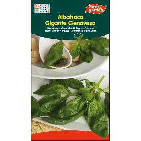 SEMILLAS FITO AROMATICAS ALBAHACA GIGANTE GENOVESA 01710 (CAJA 10 UNIDADES)