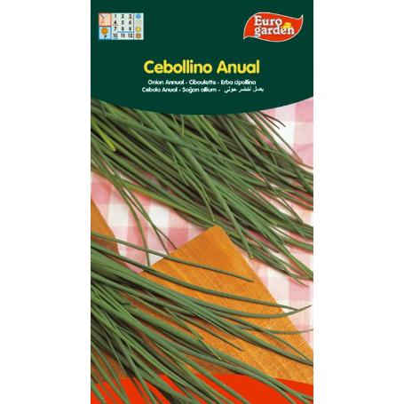 SEMILLAS FITO AROMATICAS CEBOLLINO ANUAL 03084 (CAJA 10 UNIDADES)