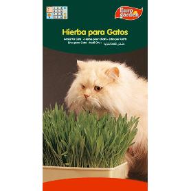 SEMILLAS FITO AROMATICAS HIERBA PARA GATOS 04262 (CAJA 10 UNIDADES)