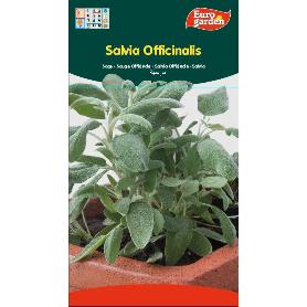 SEMILLAS FITO AROMATICAS SALVIA OFFICINALIS 02607 (CAJA 10 UNIDADES)