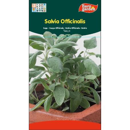 SEMILLAS FITO AROMATICAS SALVIA OFFICINALIS 02607 (CAJA 10 UNIDADES)